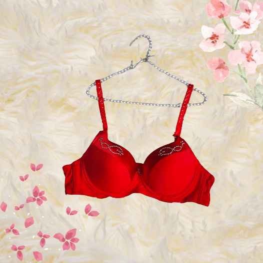 Elaveia Perfect Lift Push Up Bra Padded & Wired for Extra Support & Natural Shape - Elaveia