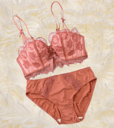 Elaveia Soft Push - Up Embroidered Bridal Bra & Panty Set - Elaveia