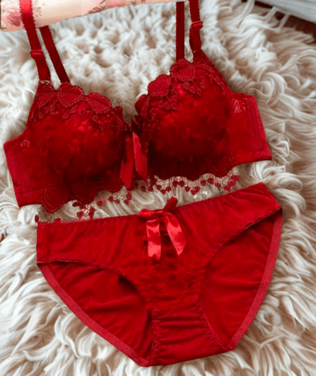 Elaveia Lace Embroidered Push Up Lingerie Set Underwire Bra & Panty - Elaveia