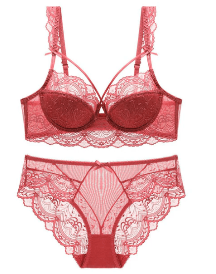 Bridal Lace Half Cup Bra & Panty Set Lightly Padded, Wired with Adjustable Straps - Elaveia