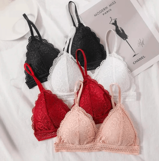 Elaveia Pack of 2 Seamless Lace Embroidered Padded Bras Elegant Comfort & Everyday Support - Elaveia