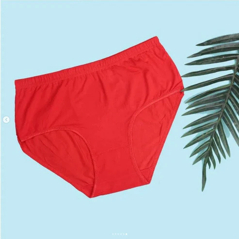 Elaveia Budget Pack of Comfortable Cotton Brief Women Seamless Underwear Panties