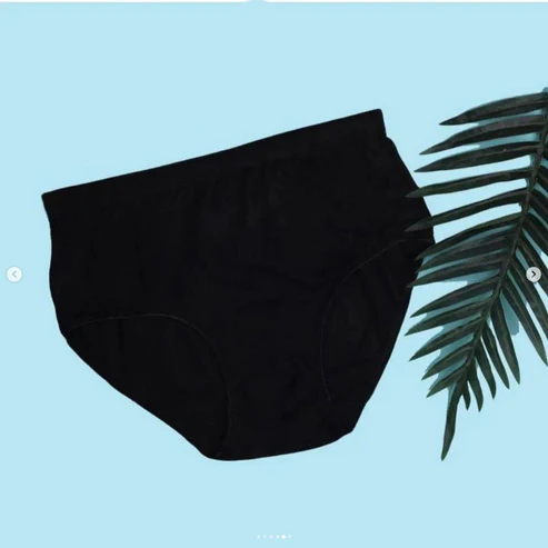 Elaveia Budget Pack of Comfortable Cotton Brief Women Seamless Underwear Panties