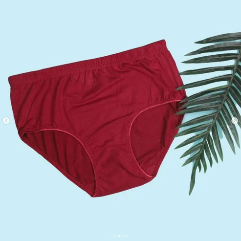 Elaveia Budget Pack of Comfortable Cotton Brief Women Seamless Underwear Panties